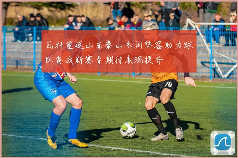瓦科重返山东泰山冬训阵容助力球队备战新赛季期待表现提升