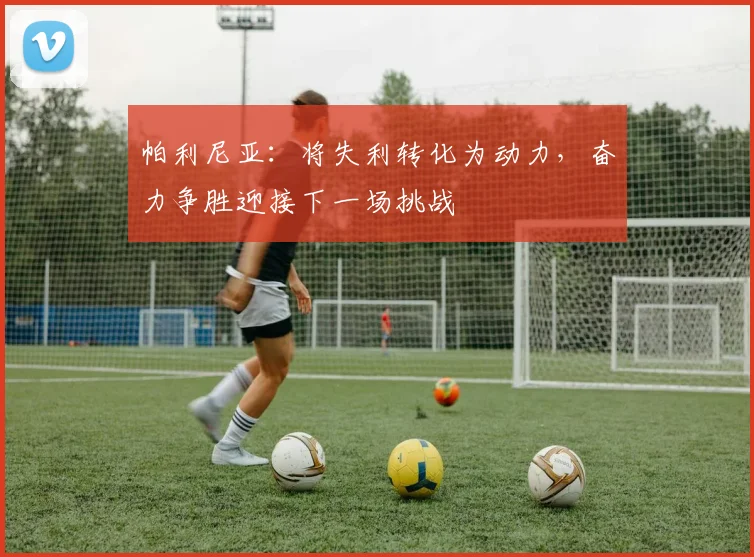 帕利尼亚：将失利转化为动力，奋力争胜迎接下一场挑战